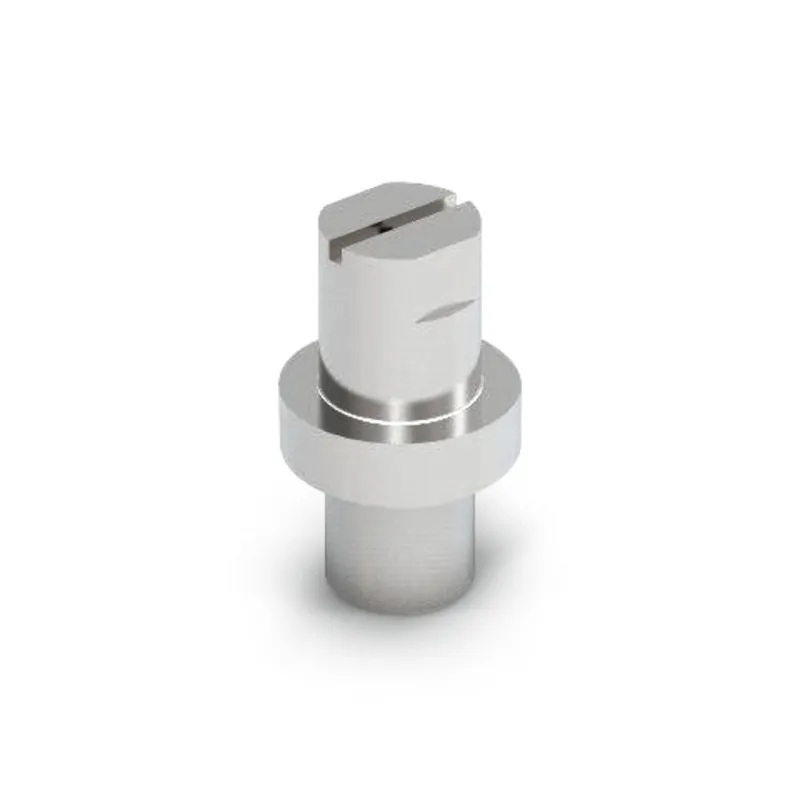 Đầu phun thẳng F 19, 1,2 mm, 20 ° 6.025-207.0