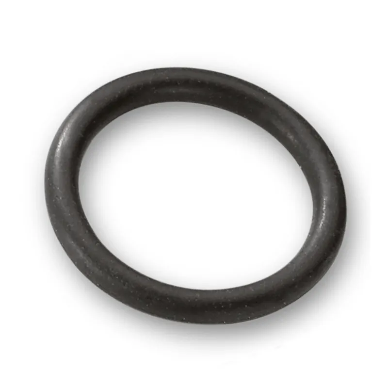 O-ring 6.025-168.0